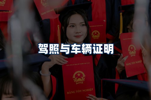 车辆证明展示